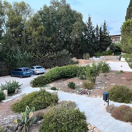 Carola גאליפולי