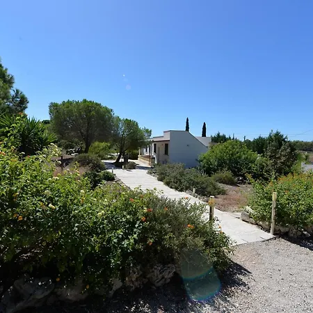 לינה וארוחת בוקר Carola