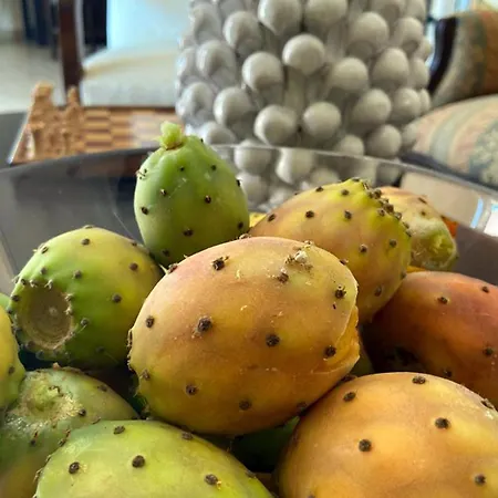 Carola לינה וארוחת בוקר