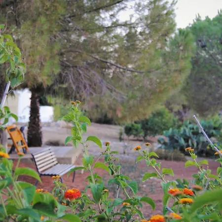 לינה וארוחת בוקר Carola 4*