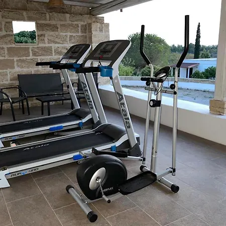 Carola גאליפולי