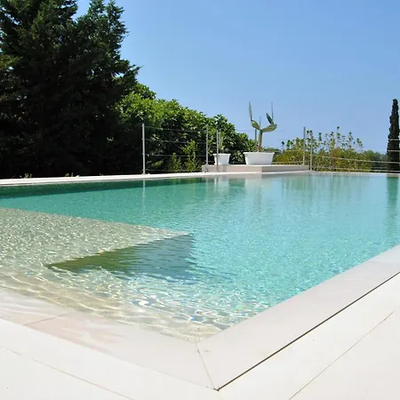 Carola גאליפולי