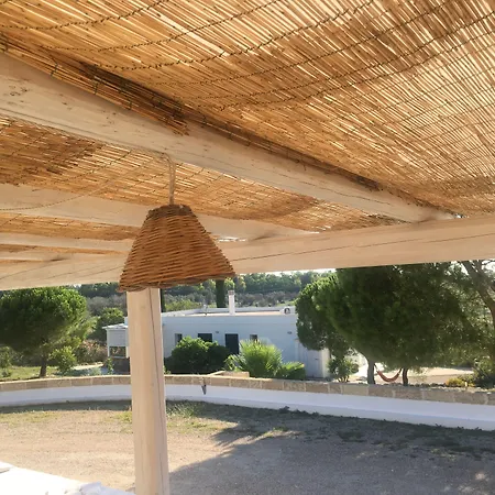 לינה וארוחת בוקר Carola גאליפולי