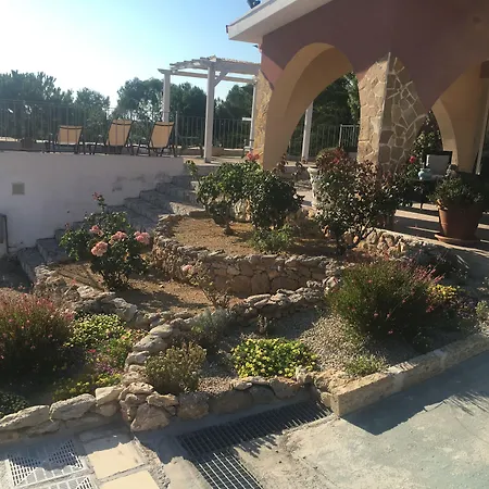 Carola גאליפולי