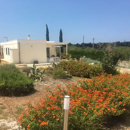 Carola לינה וארוחת בוקר 4*