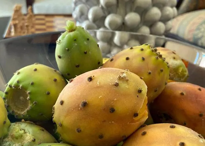 Carola Bed & Breakfast