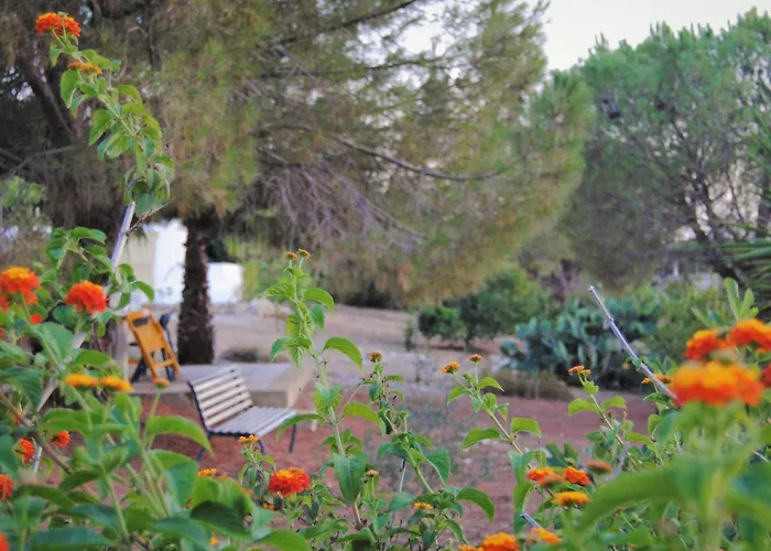 Bed & Breakfast Carola 4*